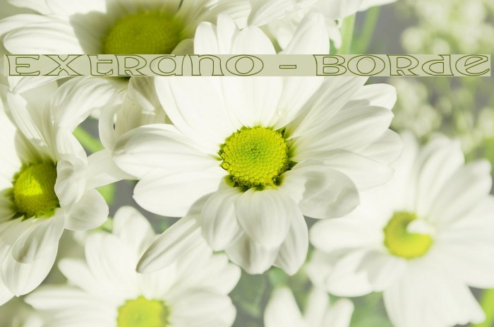Extrano - Borde Font examples