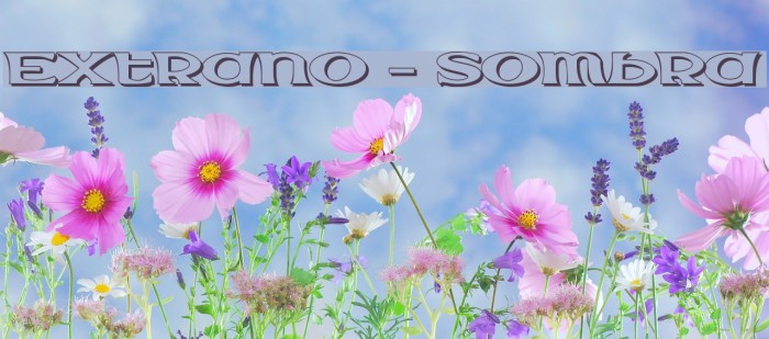 Extrano - Sombra Example 3