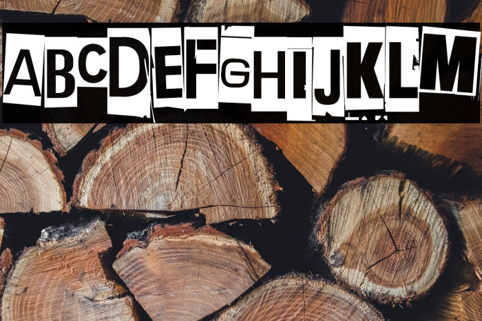 Extraoin Zhurdlyou Anarchy Example 2