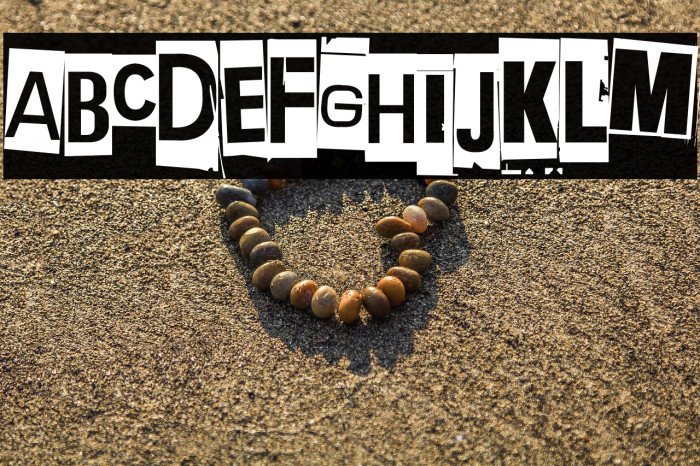 Extraoin Zhurdlyou Anarchy Example 3