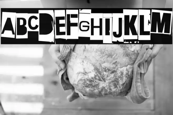 Extraoin Zhurdlyou Missing Font examples