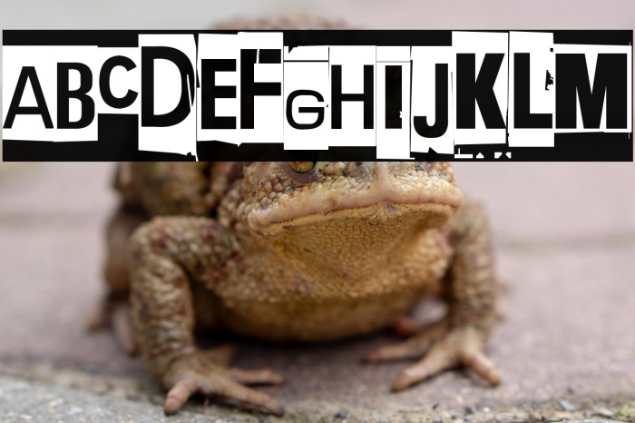 Extraoin Zhurdlyou Silence Example 2