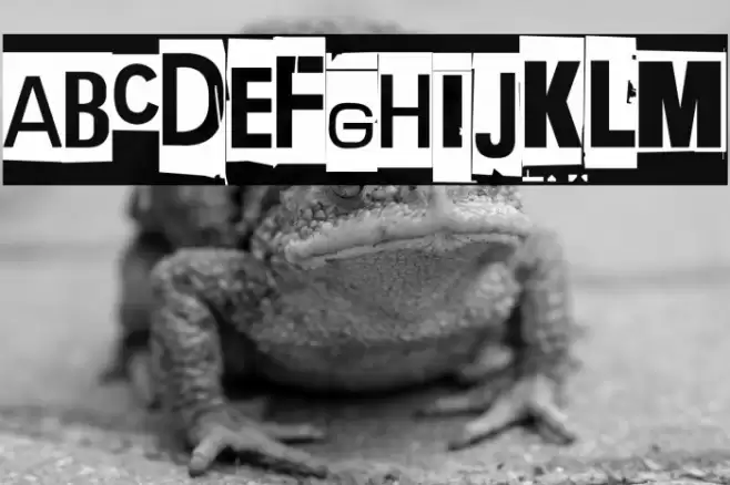 Extraoin Zhurdlyou Silence Font examples