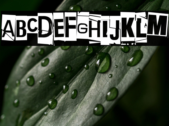 Extraoin Zhurdlyou Total War Example 2