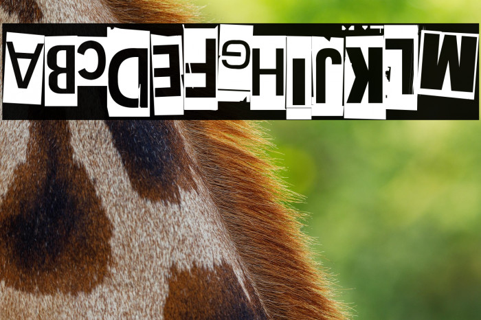 Extraoin Zhurdlyou Upside Down Example 1