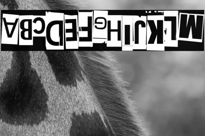 Extraoin Zhurdlyou Upside Down Font examples