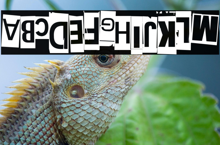 Extraoin Zhurdlyou Upside Down Example 2