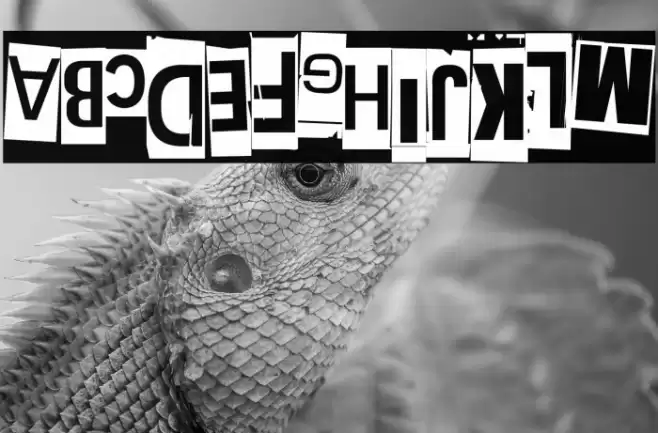 Extraoin Zhurdlyou Upside Down Font examples