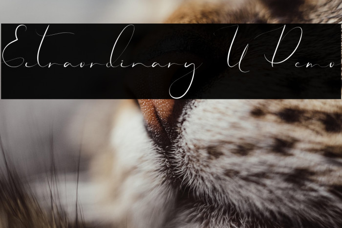 Extraordinary U Demo Example 1