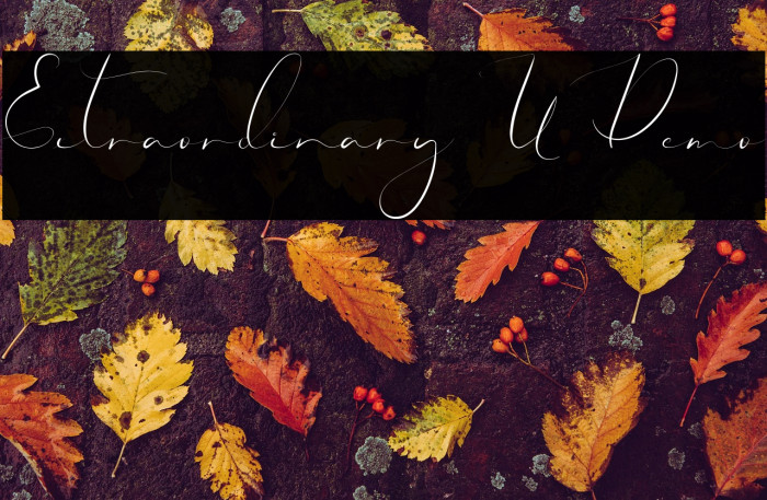 Extraordinary U Demo Example 2