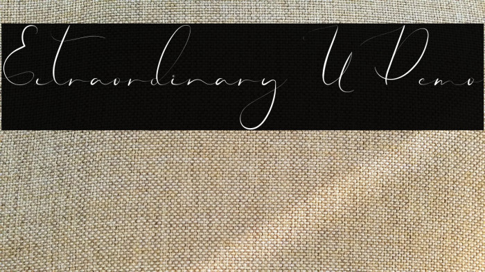 Extraordinary U Demo Example 3