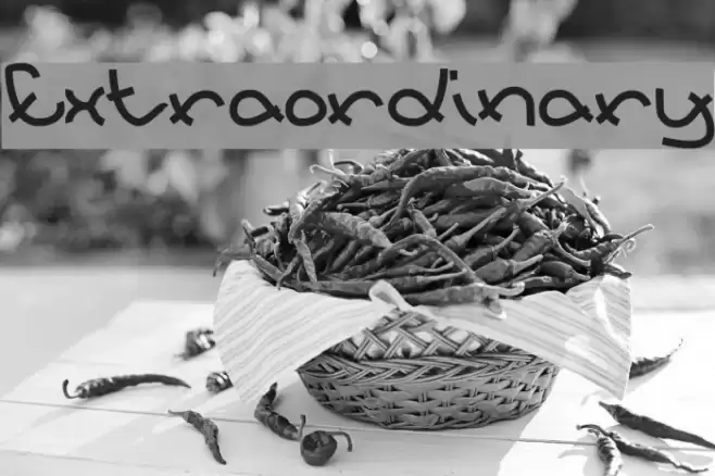 Extraordinary Font examples