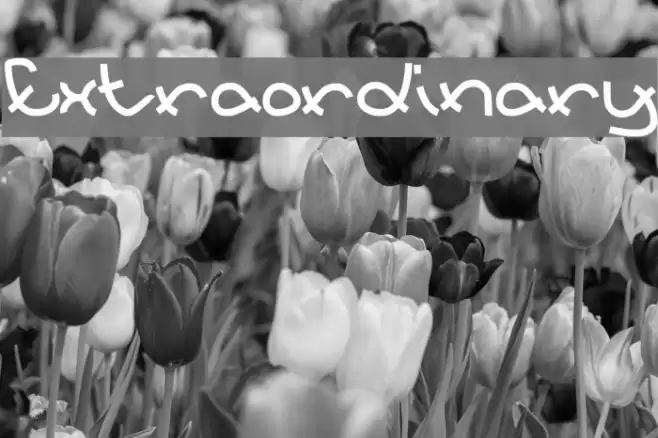 Extraordinary Font examples