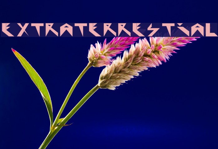 Extraterrestial Fonte examples