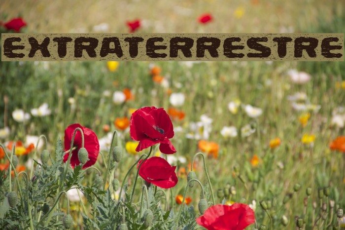 Extraterrestre Font examples