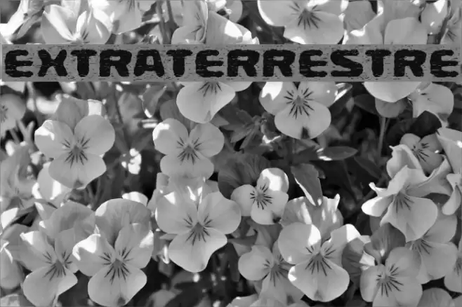 Extraterrestre Font examples