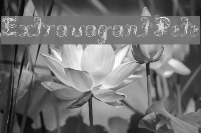 Extravagant Pete フォント examples