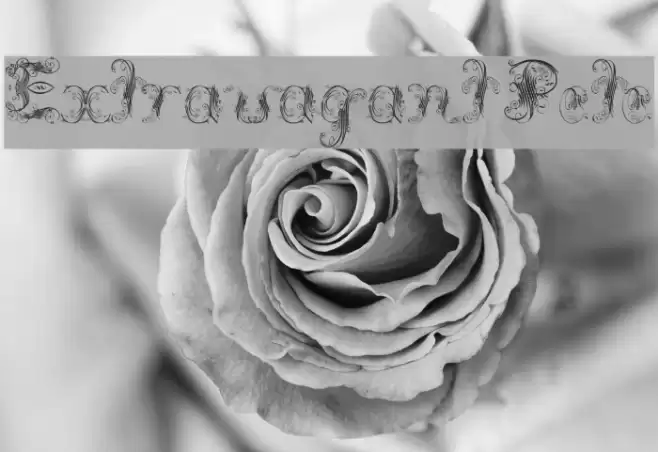 Extravagant Pete フォント examples