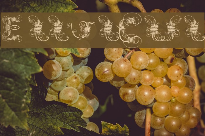 ExtravagantCapitals Example 1