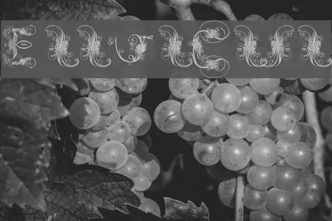 ExtravagantCapitals Font examples