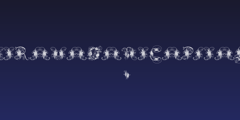 ExtravagantCapitals Social Header