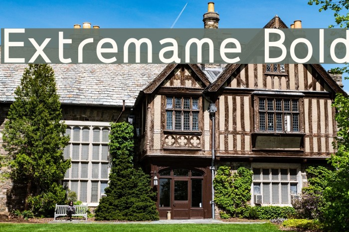 Extremame Bold Font examples