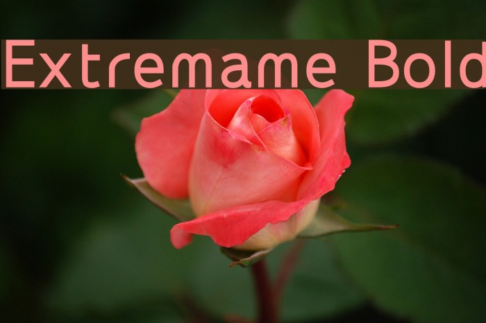 Extremame Bold Font examples