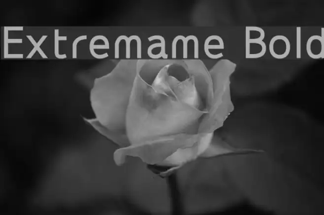 Extremame Bold Example 2
