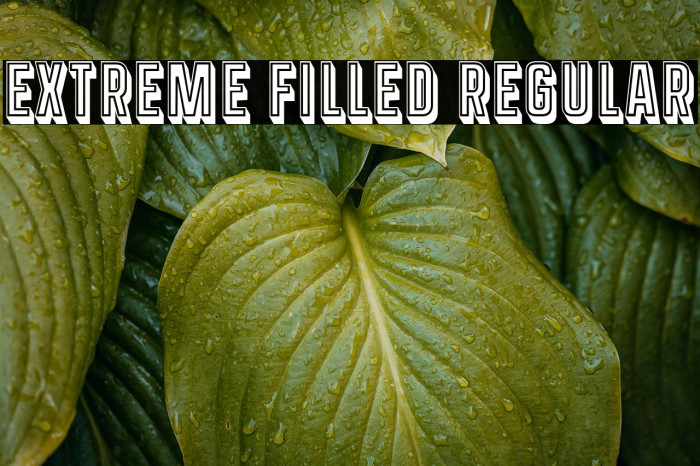 Extreme Filled Regular Example 2