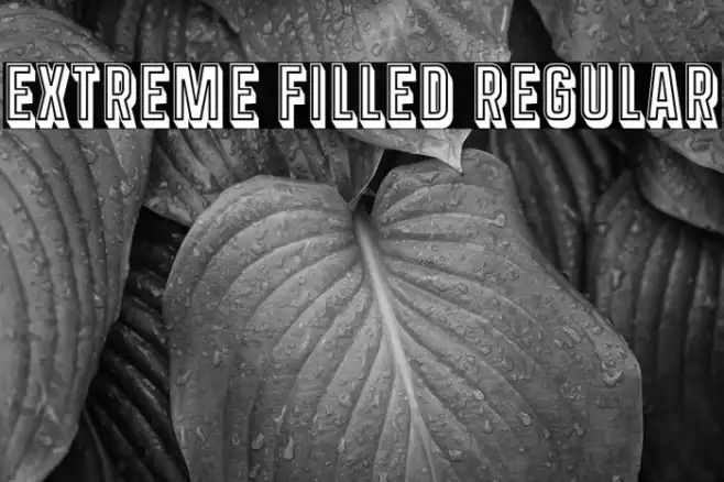Extreme Filled Regular Example 2
