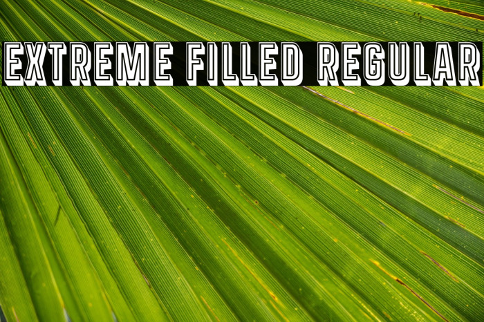 Extreme Filled Regular Example 3