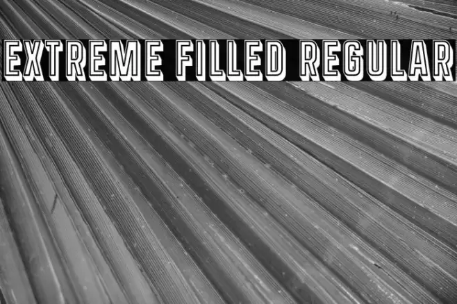 Extreme Filled Regular Example 3