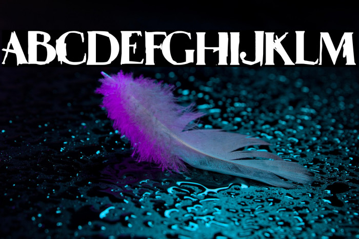 Extreme Fine Club Example 1