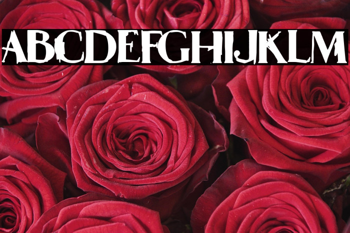 Extreme Fine Club Example 2