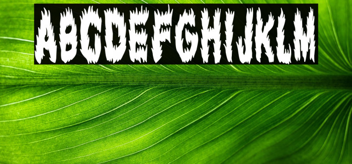 Extreme Fire Example 1