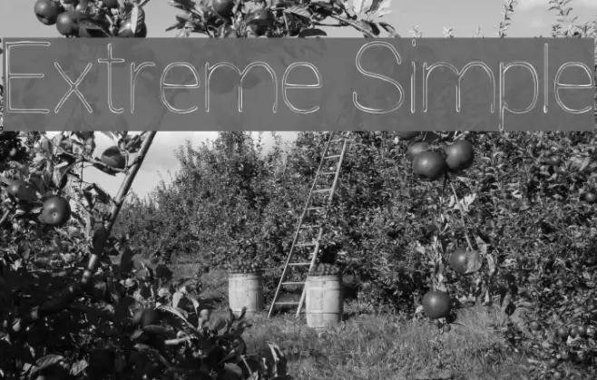 Extreme Simple Example 1