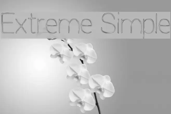 Extreme Simple Example 2