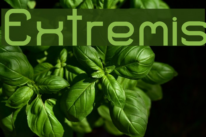 Extremis Font examples