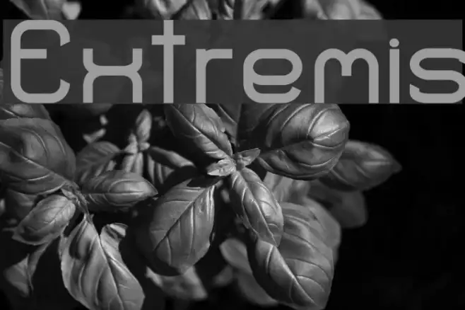 Extremis Example 3
