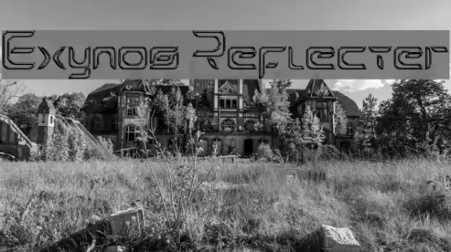 Exynos Reflecter Font examples