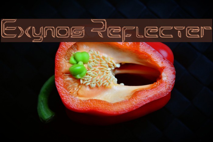 Exynos Reflecter Font examples