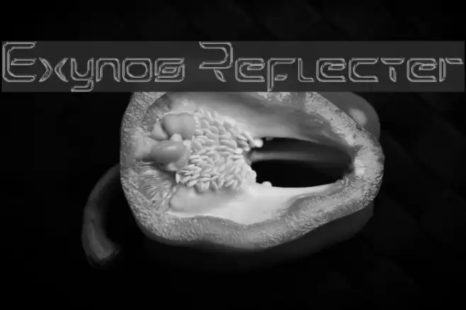 Exynos Reflecter Font examples