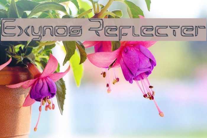 Exynos Reflecter Font examples