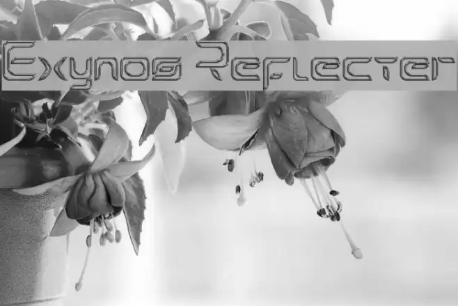 Exynos Reflecter Font examples