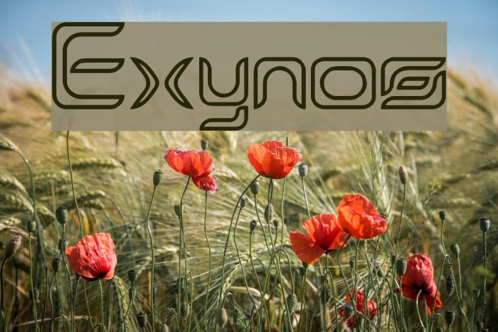 Exynos Font examples