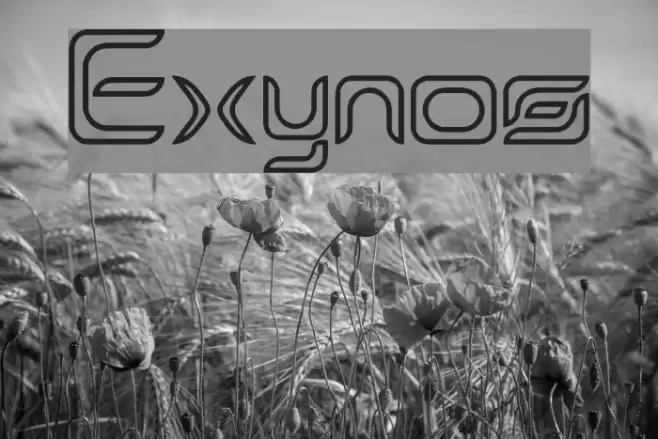 Exynos Font examples