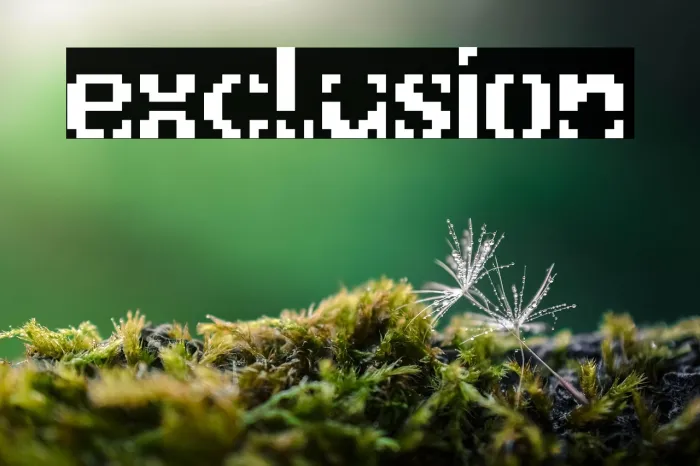exclusion Example 1