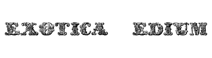 exotica Medium Font