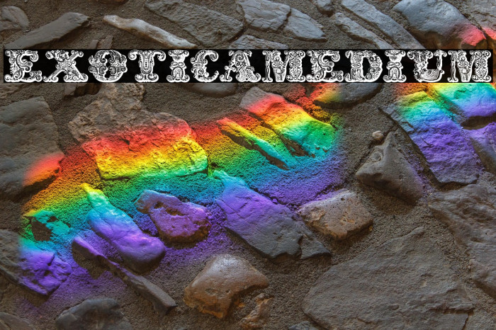 exotica Medium1 Example 3