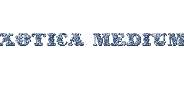 exotica Medium1 Logo